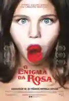 20190927 o enigma da rosa papo de cinema cartaz