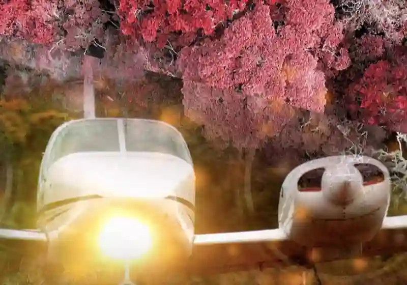 20190928 jungle pilot papo de cinema 800 teaser