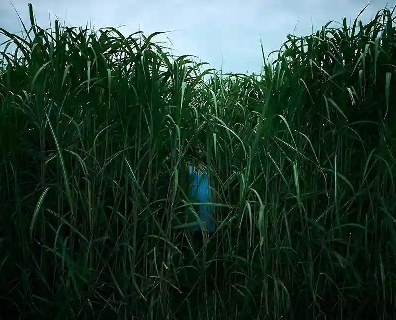 20191003 campo do medo papo de cinema 800