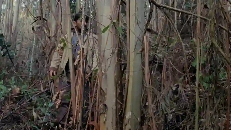 20191023 alva papo de cinema 2