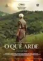 20191023 o que arde papo de cinema cartaz