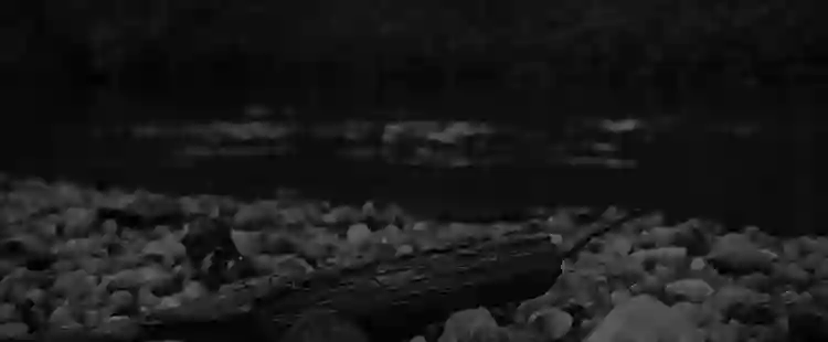 20191101 estrangeiro papo de cinema 1 e1573176282946