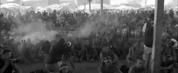 20191107 entre parentes papo de cinema2