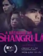 20191118 batalha shangri l papo de cinema
