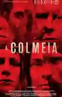 20191121 a colmeia papo de cinema cartaz