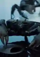 20191121 caranguejo rei papo de cinema e1574357355734