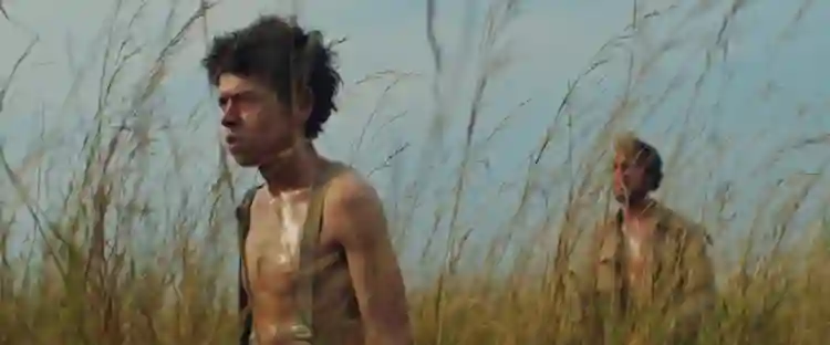 20191219 20191219 mosquito roterda papo de cinema