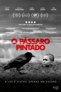 O Pássaro Pintado