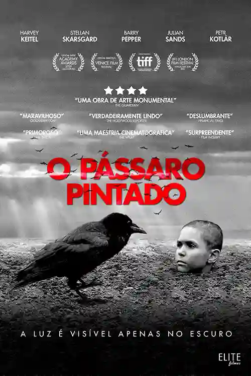 O Pássaro Pintado