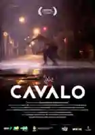 20200131 cavalo papo de cinema cartaz