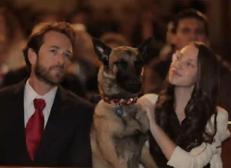 20200131 k9 uma aventura de natal papo de cinema 800