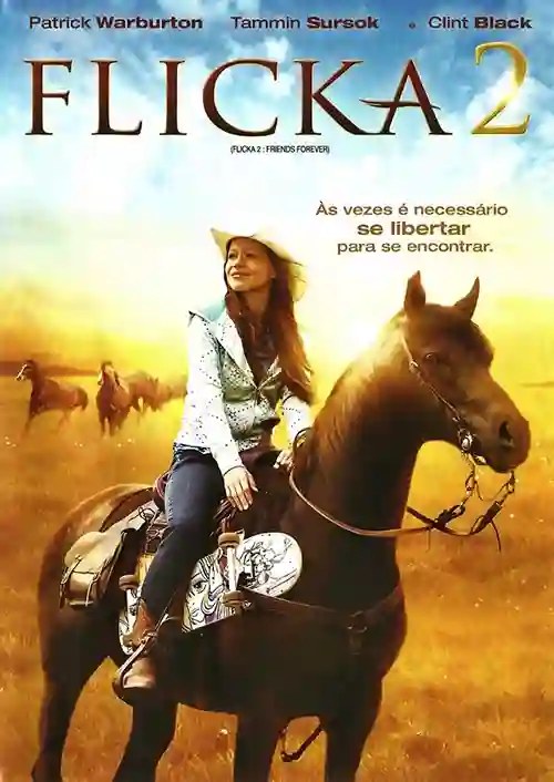 Flicka 2