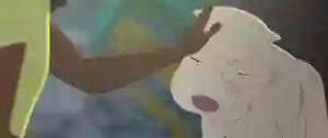 20200204 kitbull papo de cinema banner