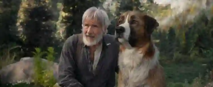 Sessão da Tarde de hoje (31/03) :: Relação de Harrison Ford com O Chamado da Floresta foi além da tela 2 Sessão da Tarde (31/03/2025): O Chamado da Floresta