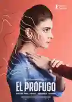 20200217 el profugo papo de cinema cartaz