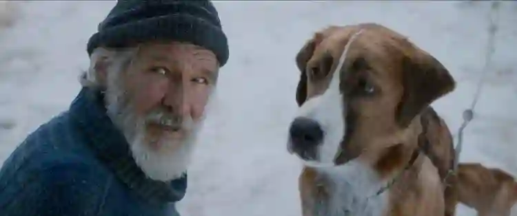 Sessão da Tarde de hoje (31/03) :: Relação de Harrison Ford com O Chamado da Floresta foi além da tela 3 Sessão da Tarde (31/03/2025): O Chamado da Floresta