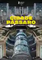 20200225 cidade passaro papo de cinema cartaz
