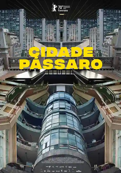 Streaming 22 Cidade Pássaro