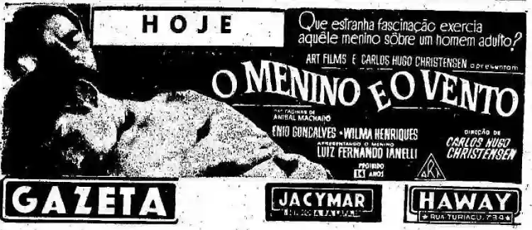 Lufe Steffen :: "Idosos e crianças LGBT ainda são tabus no cinema brasileiro" 3 20200616 o menino e o vento papo de cinema 1 1