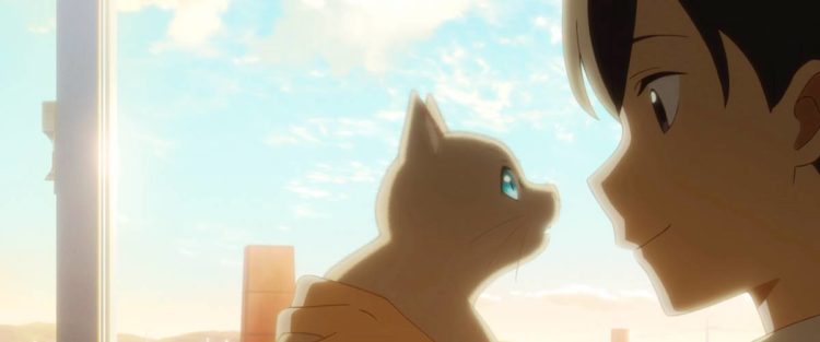 Crítica  Olhos de Gato – Novo Anime da Netflix é um Lindo Conto-de-Fadas -  CinePOP