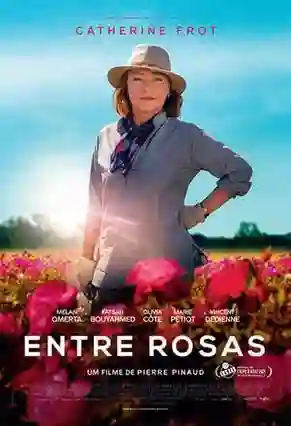 Entre Rosas