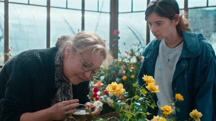 20220623 entre rosas papo de cinema 2