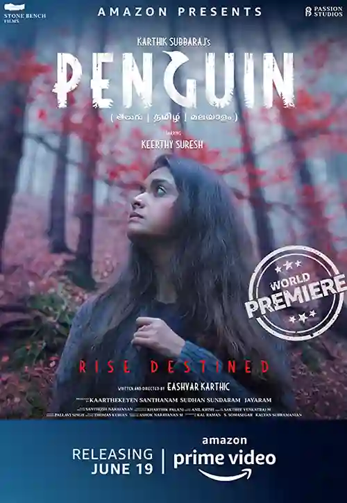 Filmes 17 Penguin