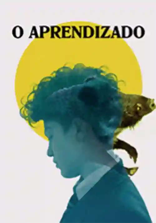 Críticas 20 O Aprendizado