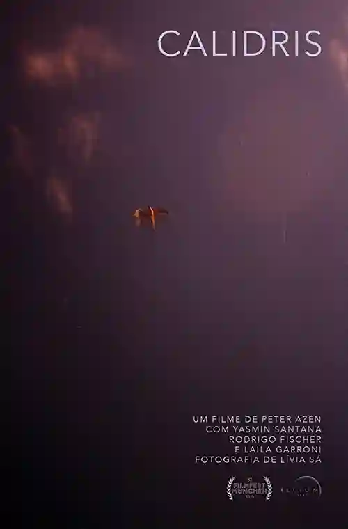 Críticas 24 Calidris