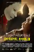 20200915 um animal amarelo papo de cinema cartaz