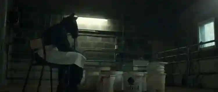 20220610 animais anonimos papo de cinema
