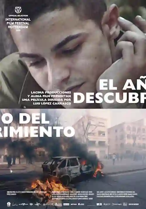 O Ano do Descobrimento
