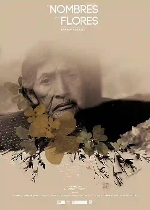 Os Nomes das Flores