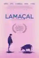 20201029 lamacal papo de cinema cartaz 1