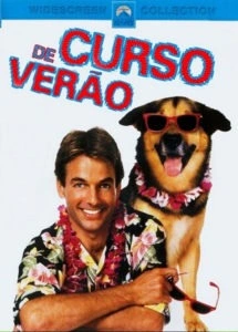 Curso de Verão