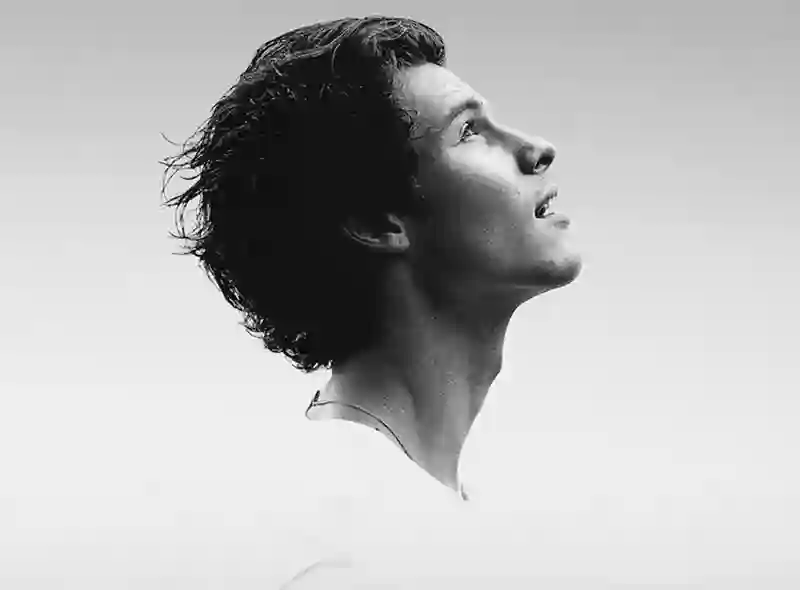 20201123 shawn mendes in wonder papo de cinema 800