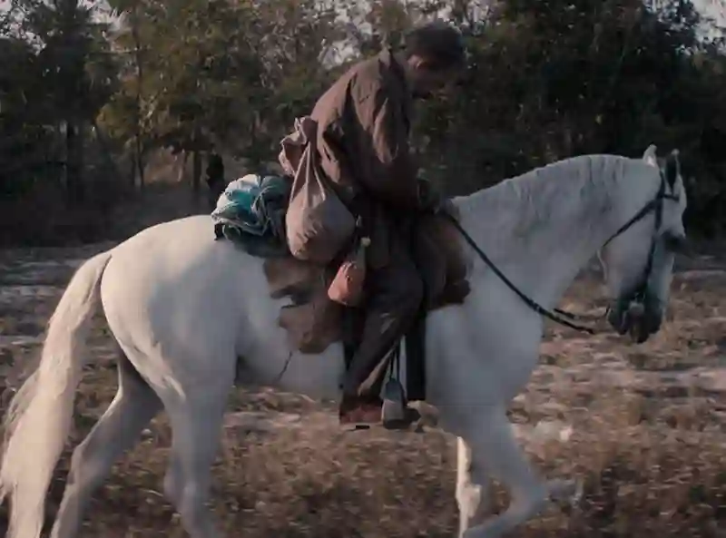 20201203 ultima cidade papo de cinema 800