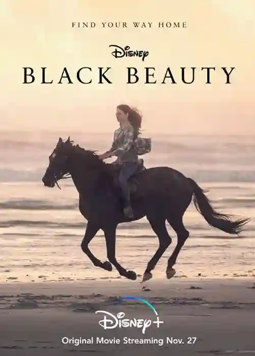 20201204 beleza negra uma amizade verdadeira papo de cinema cartaz