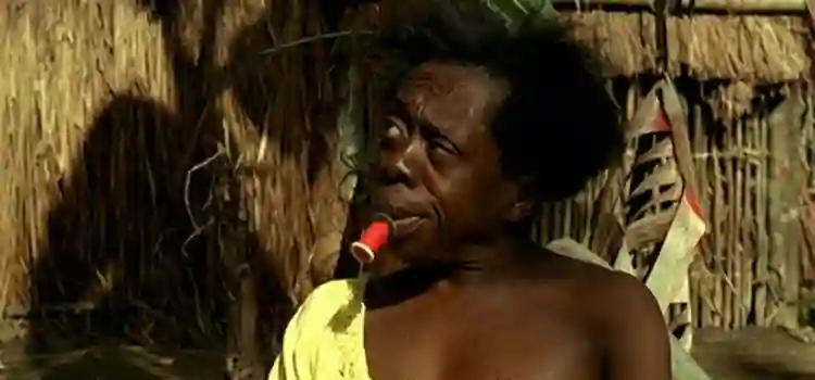 20201230 por onde anda makunaima papo de cinema 2