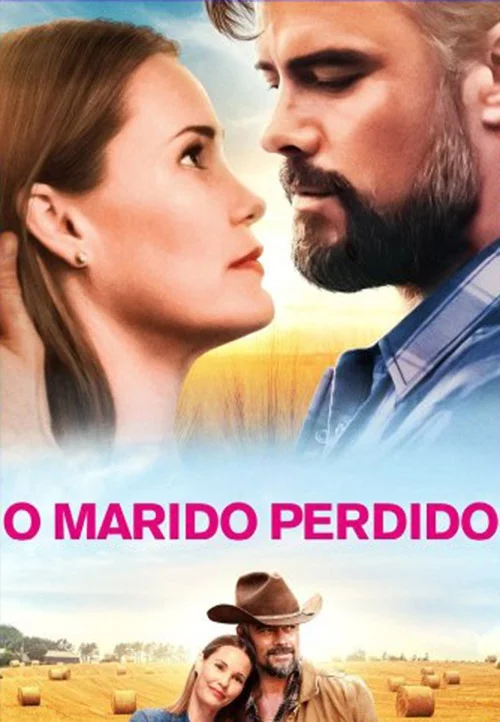 Críticas 12 O Marido Perdido