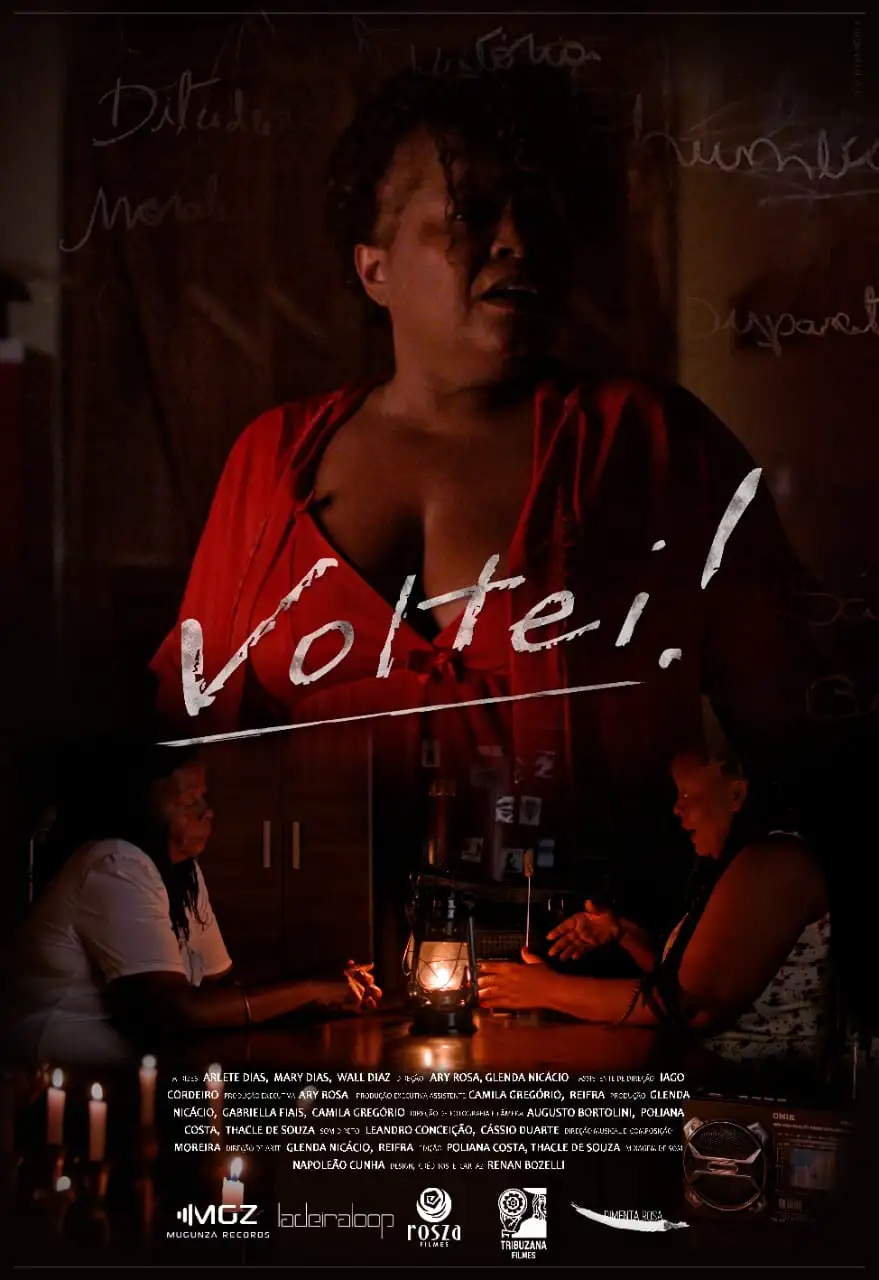 Filmes 12 Voltei!