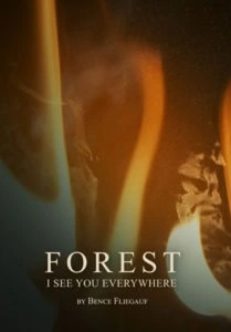 Forest: I See You Everywhere