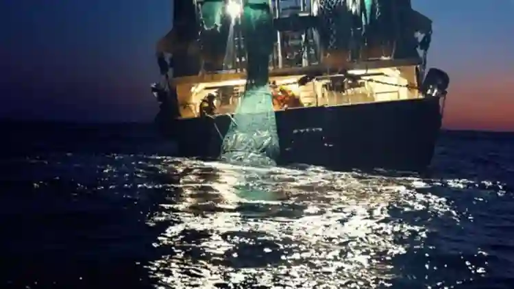 20210323 seaspiracy mar vermelho papo de cinema 2