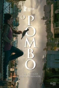 O Pombo: Um Refúgio para Sobreviver