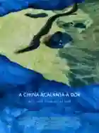 20210407 a chuva acalanta a dor papo de cinema cartaz