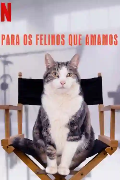Filmes 18 Para os Felinos que Amamos
