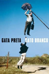 Gata Preta, Gato Branco