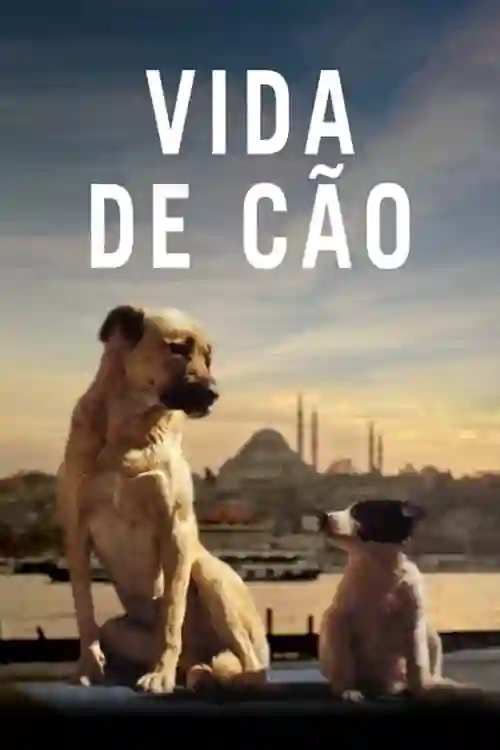 Filmes 14 Vida de Cão
