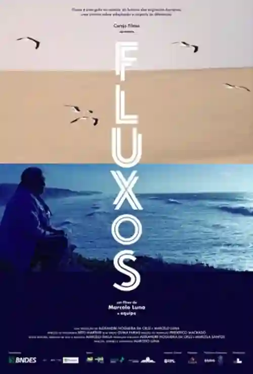 Fluxos