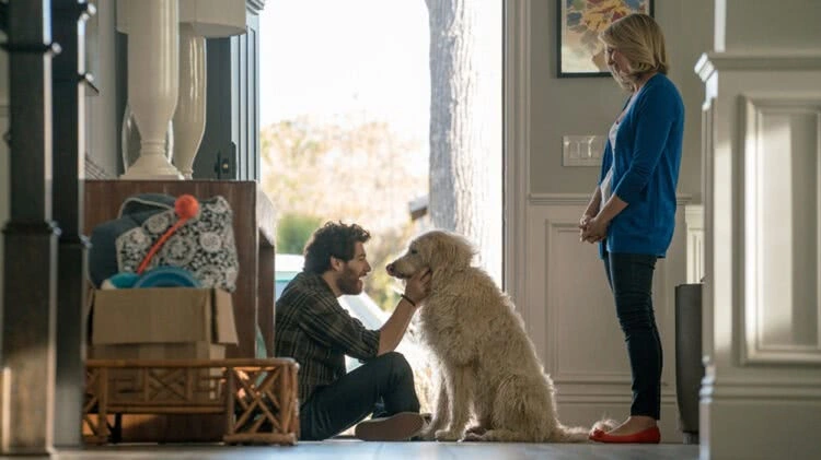 Sessão da Tarde :: Nossa Vida com Cães